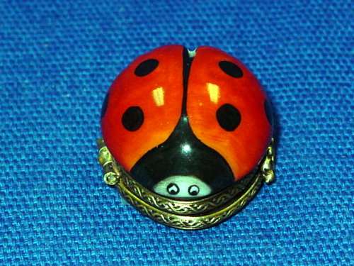 RED LADYBUG